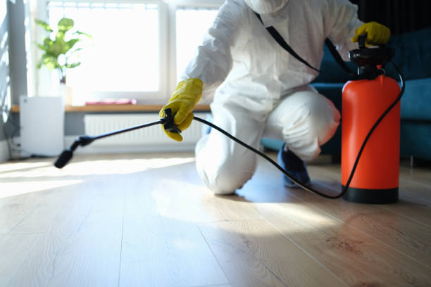 Reliable Sewage Cleanup contractor in Rock Valley, IA by Trauma Clean Pros